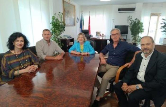 Le Comité Technique Scientifique de Sicile a un an, Albano « Résultats importants obtenus » – BlogSicilia