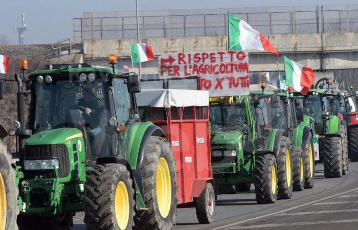 Agriculture : manifestation devant le siège de Legacoop à Ravenne