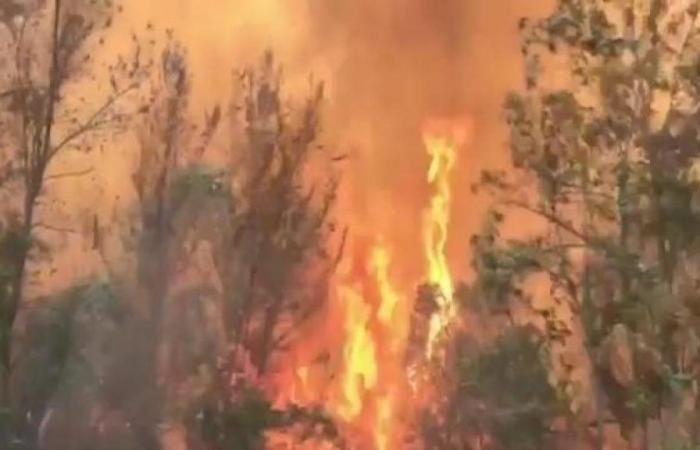 Alerte chaleur et orange à Rome, Protection Civile : «Plus d’équipes, de drones, de canons à eau et de pick-up contre les incendies»