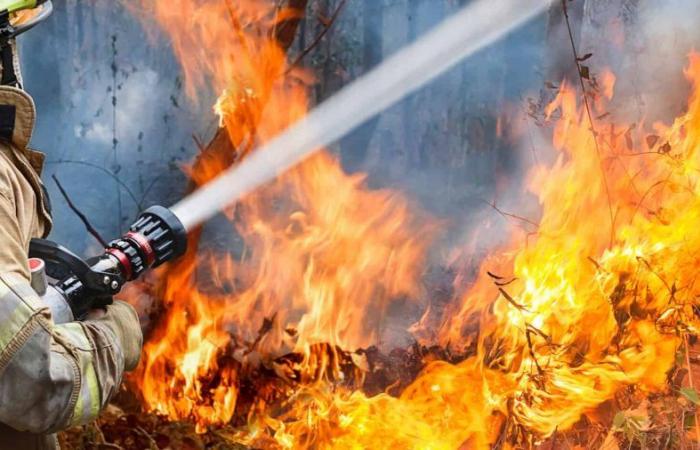 Les incendies ravagent à nouveau la Sibérie : la troisième fois en cinq ans