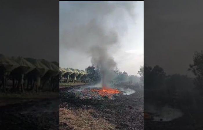 SOS incendies, “plus de trois incendies par jour dans la campagne d’Adelfia”
