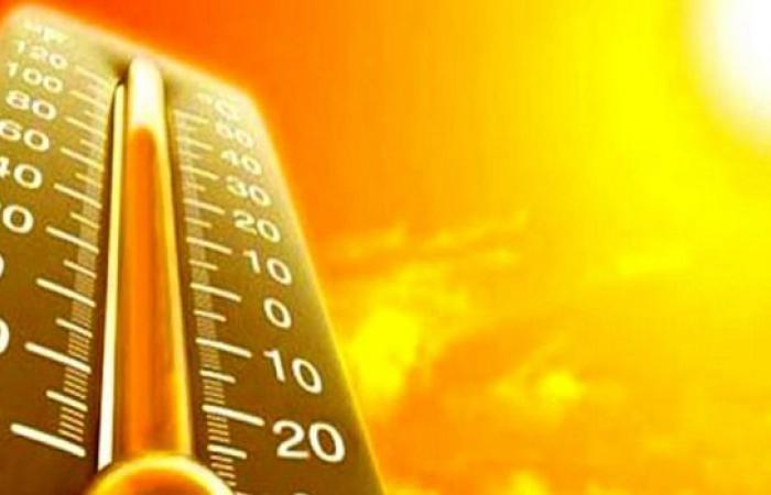 Les experts prévoient une chaleur record avec des pointes allant jusqu’à plus de 48 degrés en Sicile en juillet et août, mais il existe une solution