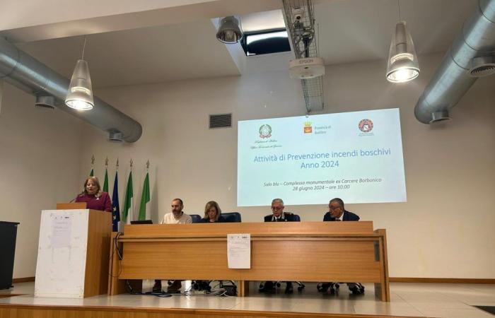 Prévention des incendies de forêt, les mesures de la préfecture d’Avellino