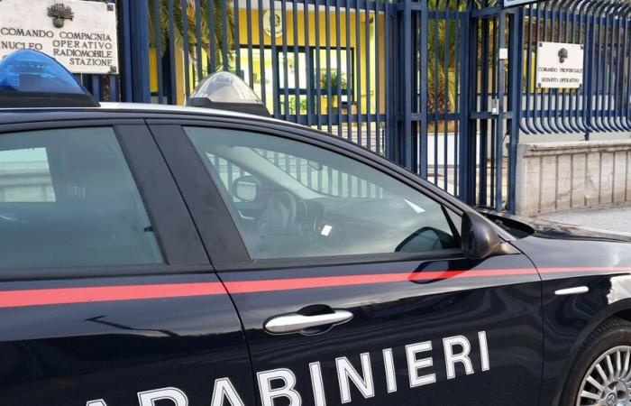 Les carabiniers d’Avellino intensifient leurs opérations de lutte contre la criminalité : plaintes et saisies