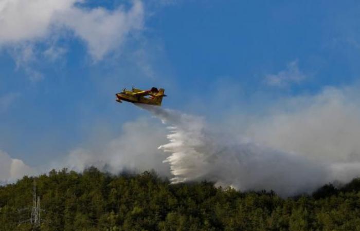 Viterbo News 24 – La Région alloue 8 millions contre les incendies, mais y a-t-il de la prévention ?