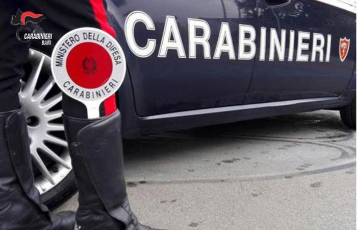 74 agents des forces de l’ordre arrivent à Bari