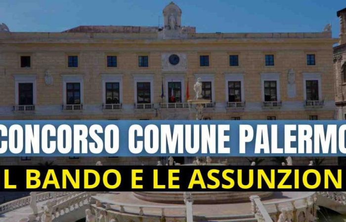 Sicile, Concours dans les communes de Palerme et Monreale : Embauche de personnalités diverses | Voici l’annonce et l’application – Younipa