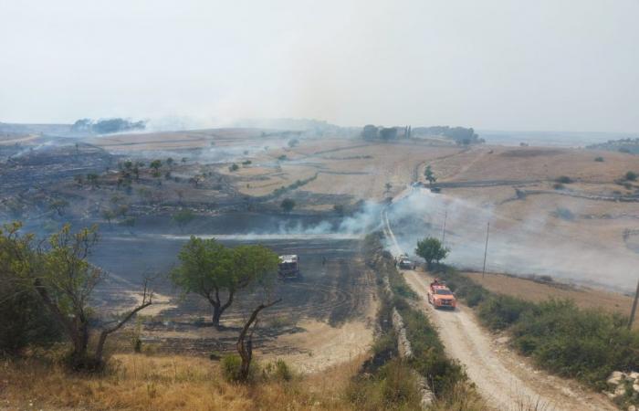 Incendies en Sicile, incendies dans la région de Raguse, foresterie et interventions canadiennes – BlogSicilia
