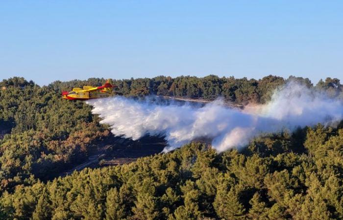 en deux jours plus de 600 hectares en feu – Telesveva Notizie