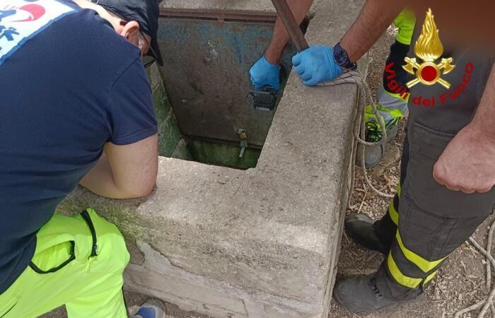 Un enfant est mort dans un puits, le secouriste a également enquêté – Actualités