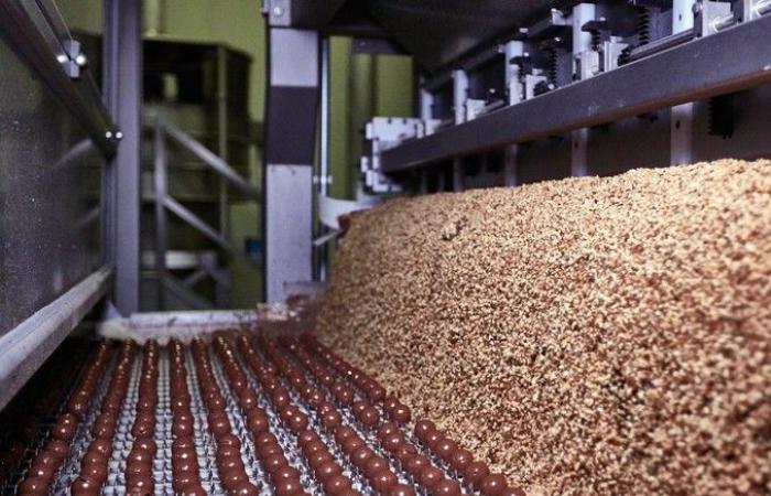 Après les vacances de juillet, l’usine Ferrero rouvrira avec 1 400 saisonniers