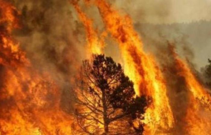 Albidona, un terrible incendie ravage la commune depuis trois jours