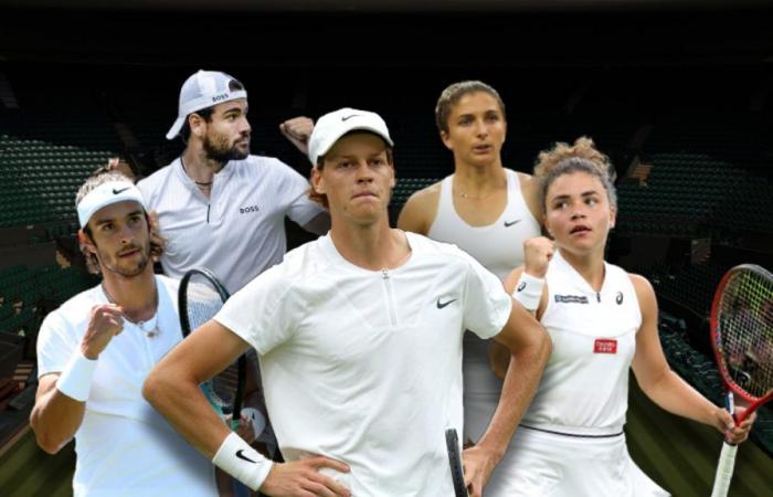 Wimbledon, la bourse des 14 Italiens inscrits au tirage au sort. De Sinner à Berrettini : nul, forme et espoirs à Londres