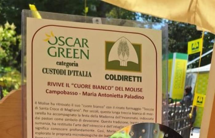 “Oscar Green Coldiretti”, Molise conquiert le podium