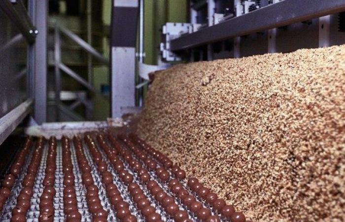 Après les vacances de juillet, l’usine Ferrero rouvrira avec 1 400 saisonniers