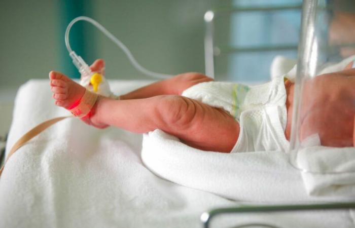 Les Pouilles sont la première région d’Italie à disposer d’une loi pour éradiquer les virus syncytiaux. “Anticorps monoclonal obligatoire pour les nouveau-nés”