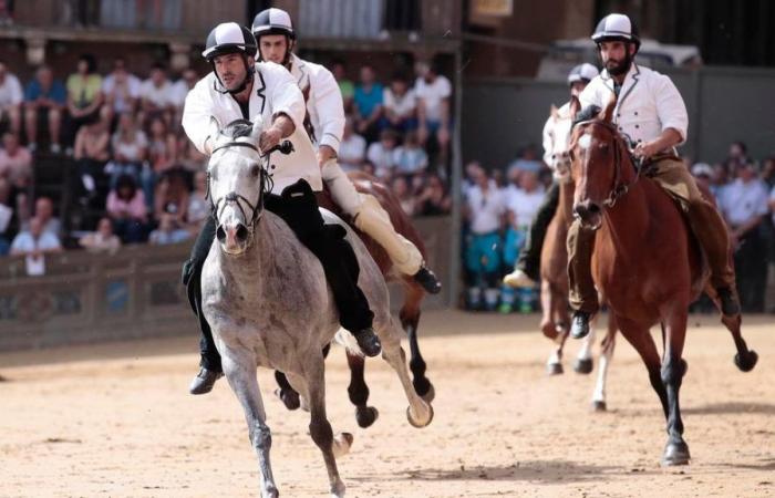 Couples chevaux-jockey Palio 2 juillet. Bouleversement sur Ungaros, Tittia montera Veranu