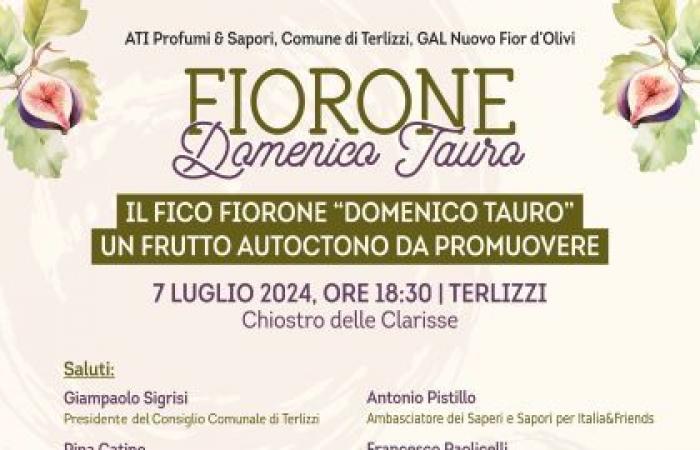 Conférence sur le Fiorone “Domenico Tauro”, un fruit indigène à promouvoir. Avec l’adhésion au Club UNESCO de Bisceglie – Terlizzi, le 7 juillet 2024. 18h30 Chiostro delle Clarisse