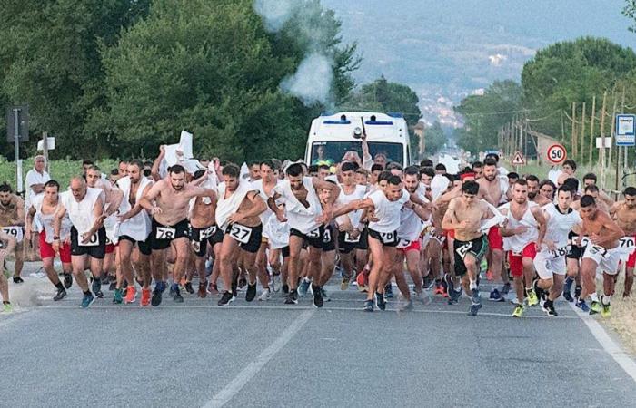 Palio della Vittoria à Anghiari : l’histoire séculaire de la « course la plus folle du monde » | Actualité