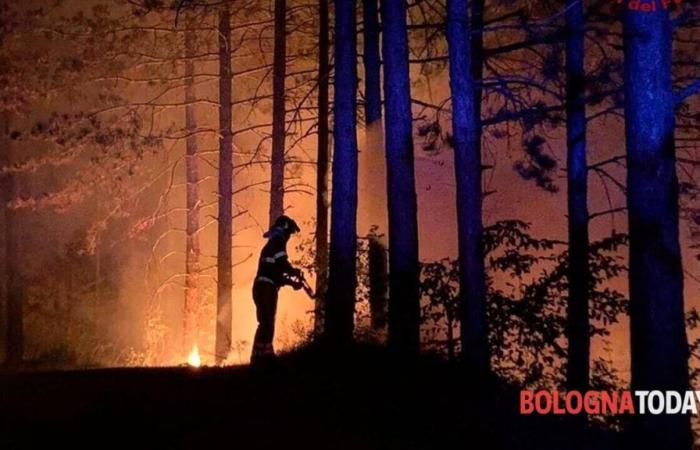 Les incendies de forêt en Émilie-Romagne sont en phase d’alerte jusqu’au 15 septembre