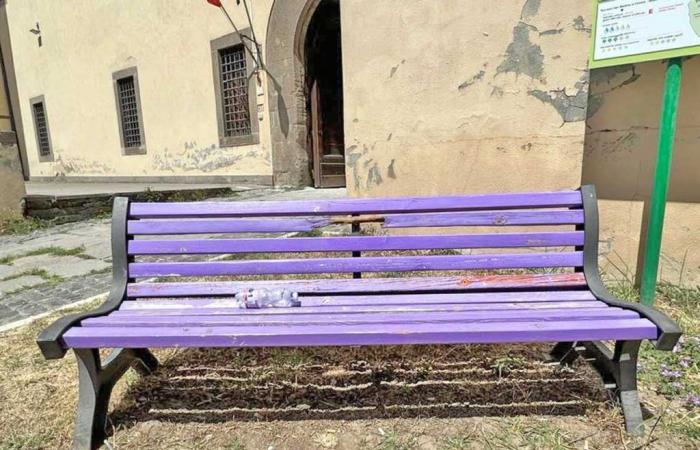 Fibromyalgie, le banc violet de la Piazza della Rocca a été endommagé