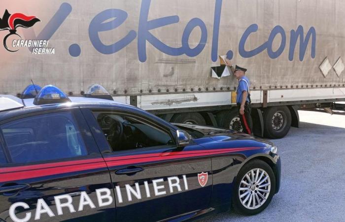 Transports de clandestins : un camionneur arrêté à Venafro