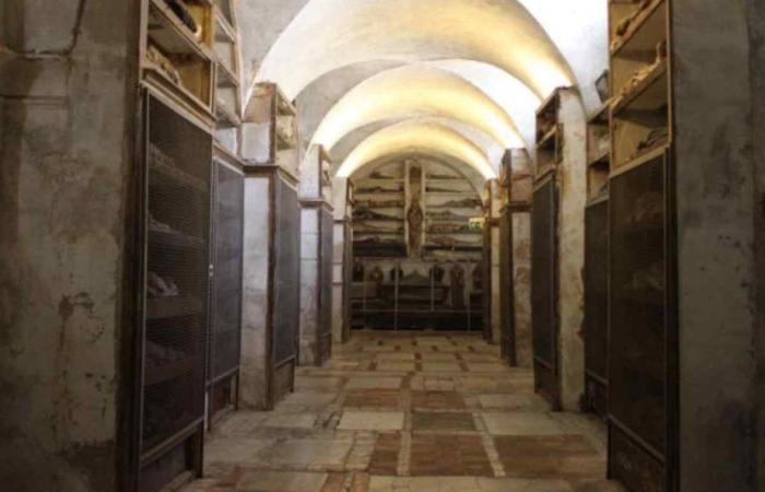 Catacombes des Capucins de Palerme, les curiosités que vous ne connaissez pas