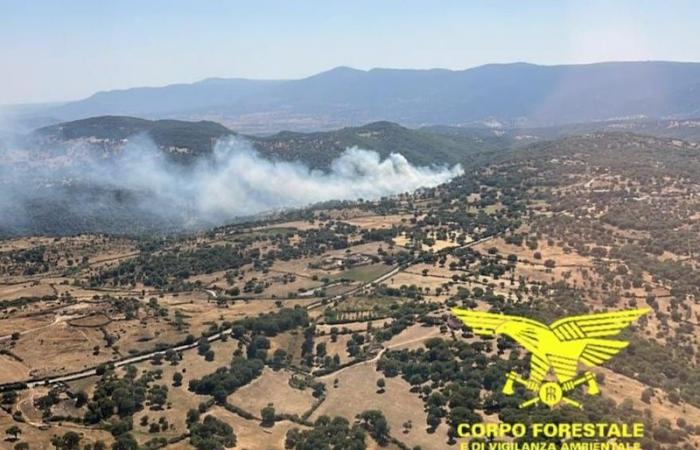 Aujourd’hui 13 incendies en Sardaigne : hélicoptères à Nuoro, Osidda et Nurri | Nouvelles