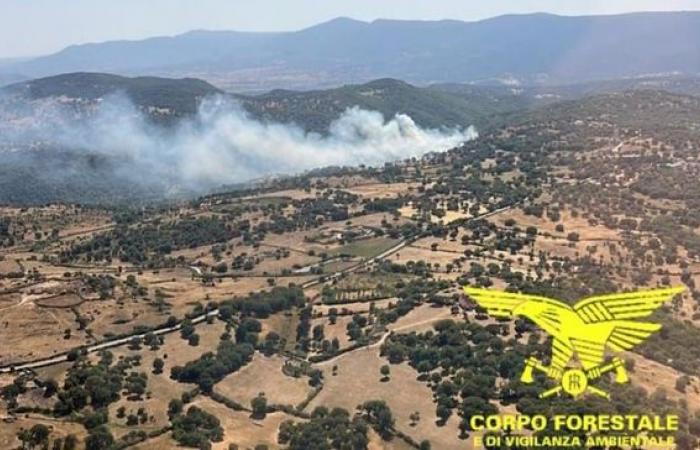Aujourd’hui 13 incendies en Sardaigne : hélicoptères à Nuoro, Osidda et Nurri | Nouvelles