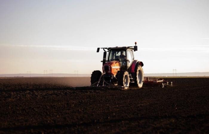 Annonce des entreprises agricoles du PNRR dans la région du Latium : beaucoup d’argent pour rien
