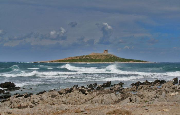 Isola delle Femmine, fête exclusive sur l’îlot : deux cents identifiés