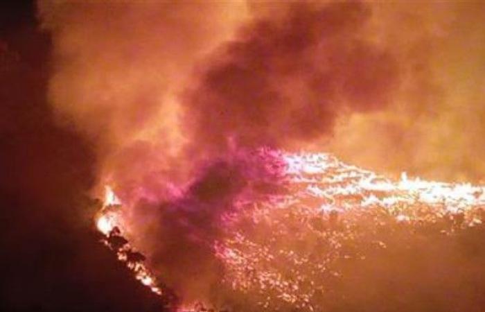 Incendies en 2023, 83 pour cent des incendies en Sicile et en Calabre