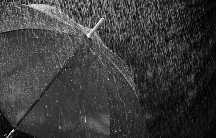 Alerte météo jaune aux très fortes pluies et aux orages dans tout le Frioul-Vénétie Julienne