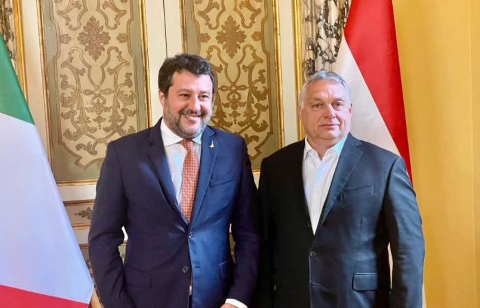 Européenne, les manœuvres de Salvini pour relocaliser la Ligue dans le nouveau groupe d’Orban : «Le travail, la famille, la sécurité et les jeunes sont au centre»