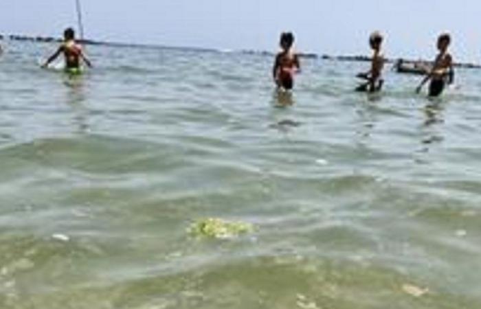 Pescara, les baigneurs dans l’eau même avec du mucilage