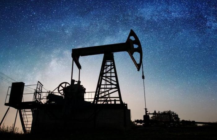 L’Arabie Saoudite découvre sept nouveaux gisements de pétrole et de gaz