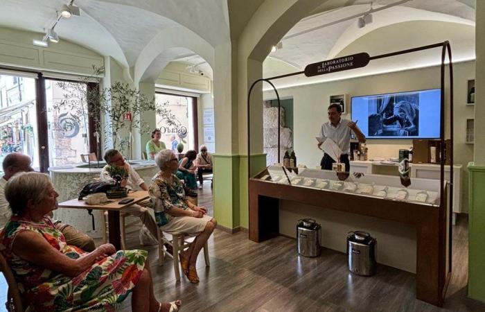 Ouverture du magasin temporaire Costa d’Oro – La Voce del Territorio Umbria