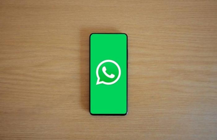 WhatsApp vous laisse sans voix, que se passe-t-il avec la dernière mise à jour