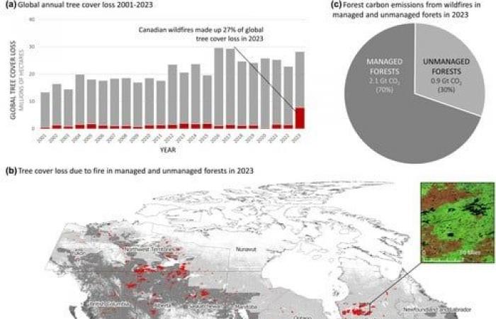 Feux de forêt, perte de forêts et émissions, le bilan tragique au Canada