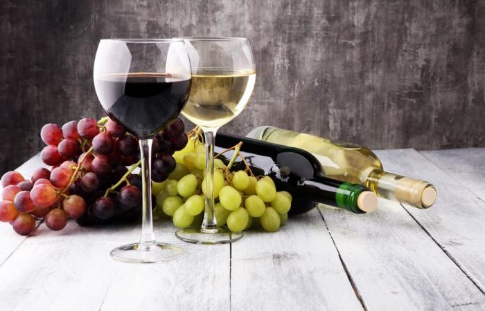 la rencontre entre vin et culture