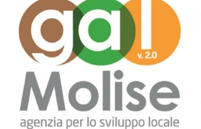 Campobasso : Internet des objets et projets numériques : la synergie Molise-Croatie se développe