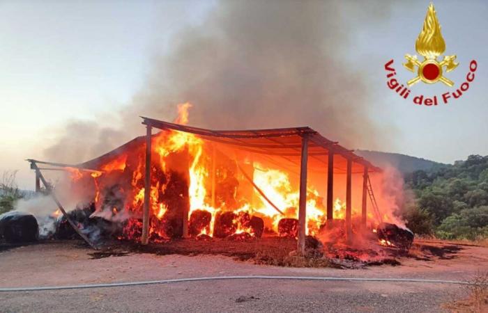 Appartement en feu à Civitavecchia, les pompiers également en action à Tolfa pour un incendie dans un entrepôt