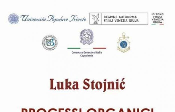 Matera : exposition internationale de Luka Stojnic intitulée « Processus organiques et géologiques »