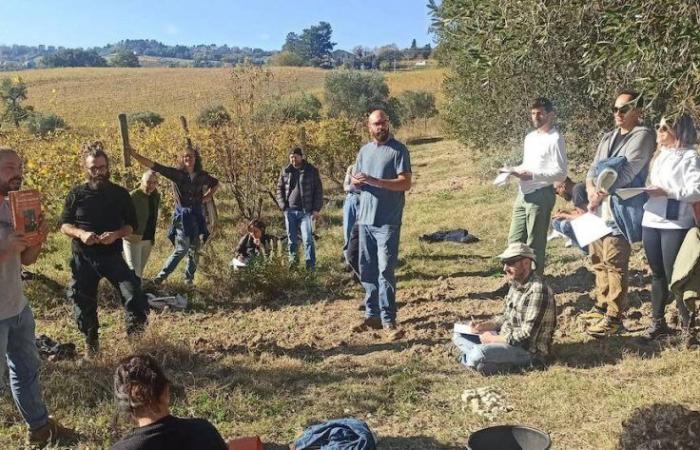 Une école d’agriculteurs et de vignerons contre la crise climatique est née dans la région des Marches