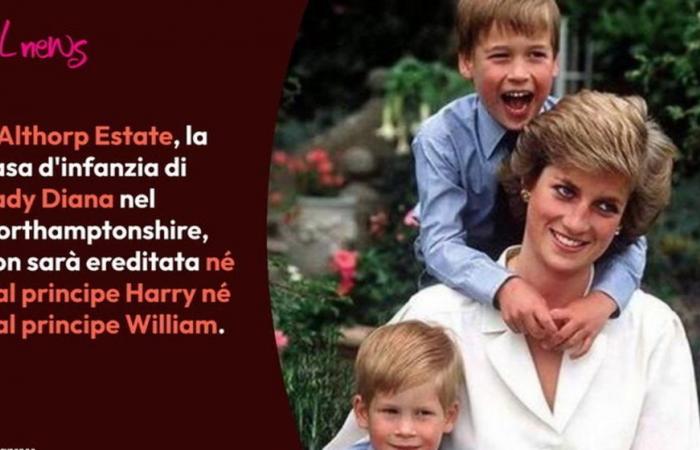 Lady Diana, la maison d’enfance n’ira pas aux princes William et Harry : voici qui en héritera