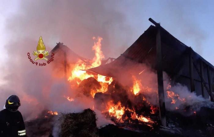 Les équipes de pompiers interviennent lors d’un incendie à Tolfa