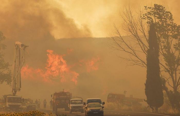 Türkiye, la province de Muğla touchée par les incendies