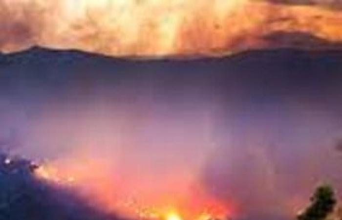 Rapport d’incendie d’Ispra. Les régions suspendent la saison de chasse 2024/2025