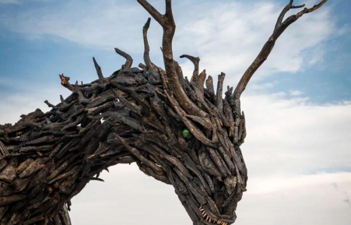 Le Dragon de Régénération Vaia inauguré : c’est la plus grande sculpture de dragon en bois au monde