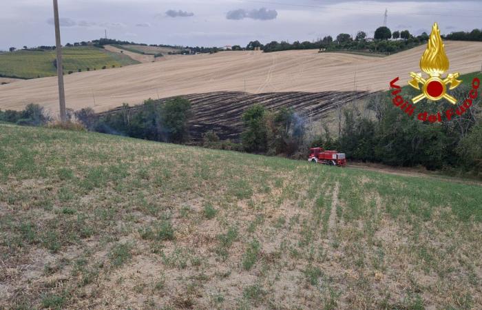 Végétation en feu dans les Marches, 3 interventions en une journée : hélicoptère de pompiers nécessaire – Picchio News